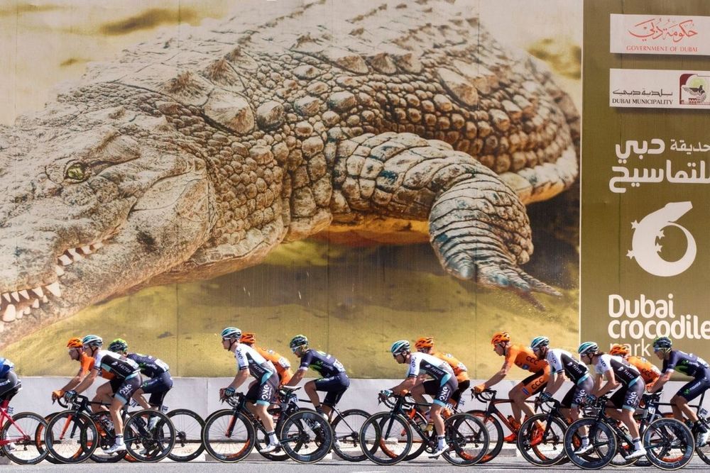 Dubai: A New Cycling Destination with the Gran Fondo Spinneys Cycle Challenge