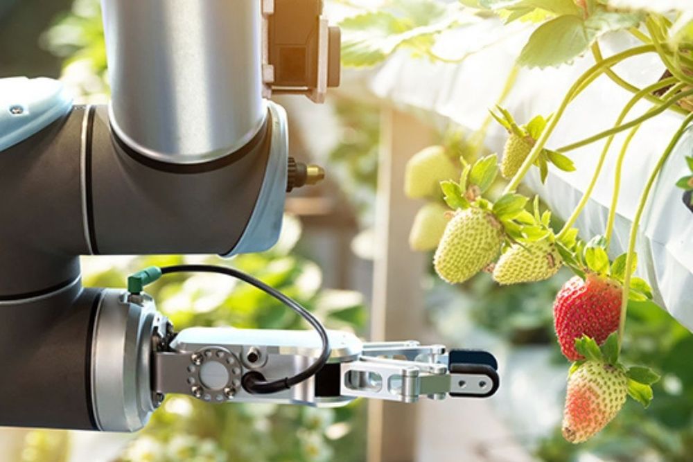 Sustainable Dubai: 2 mega campaigns set to launch at 'Food For Future Summit' this week