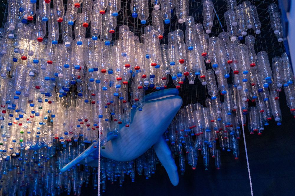 Expo 2020 Dubai: Water Week as final Theme Week to Highlight Water Preservation