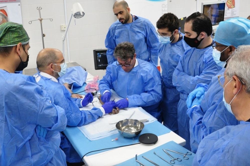 UAE becomes 1st Gulf country to offer artificial thumb joint replacement