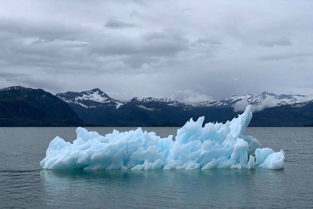 ‘Road to COP27 and COP28’ Youth Circle highlights vital role of youth in action for climate