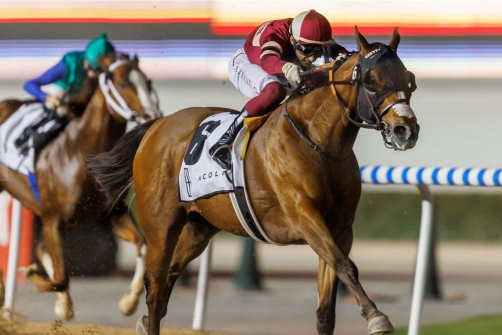Super Saturday’ at Meydan Racecourse to hold 9 races