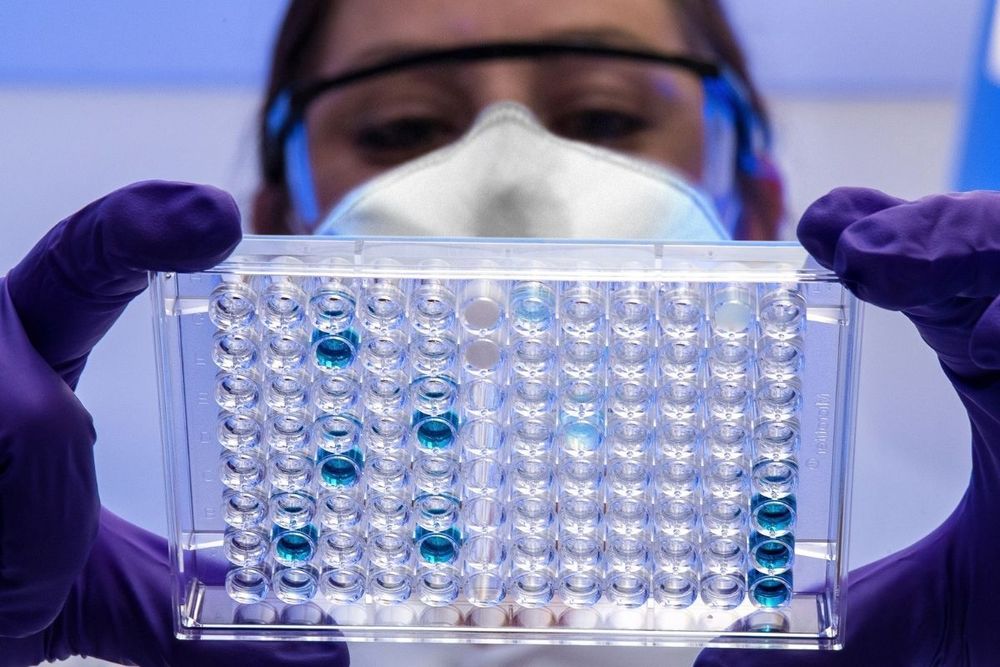 Everything you need to know about Monkeypox