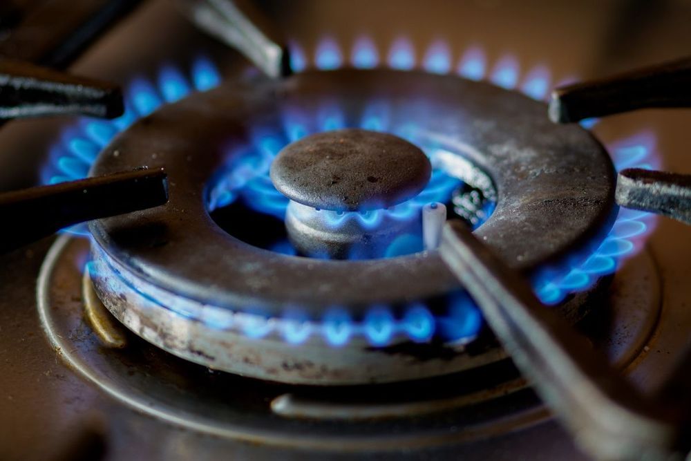 Emirates Gas, GIS to enhance end-user LPG Services and safety standards