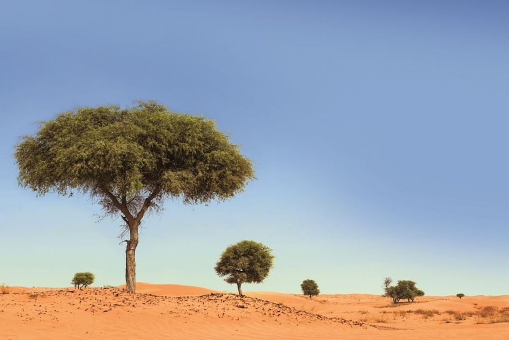 50 sustainable initiatives across Dubai