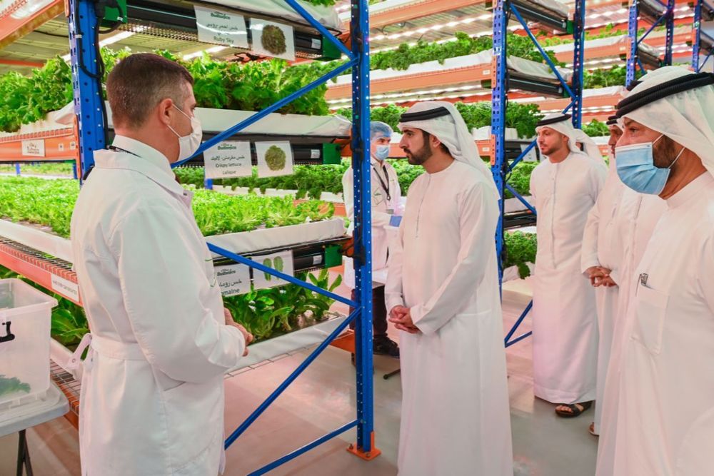 Crown Prince of Dubai tours Bustanica, the world’s largest vertical farm in Dubai