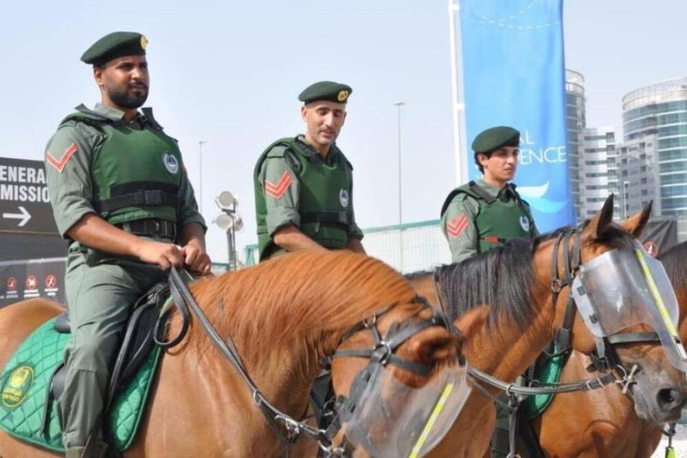 6 paid services offered by Dubai Mounted Police