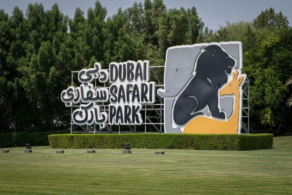 9 new experiences at Dubai Safari Park to help you get closer to the animals
