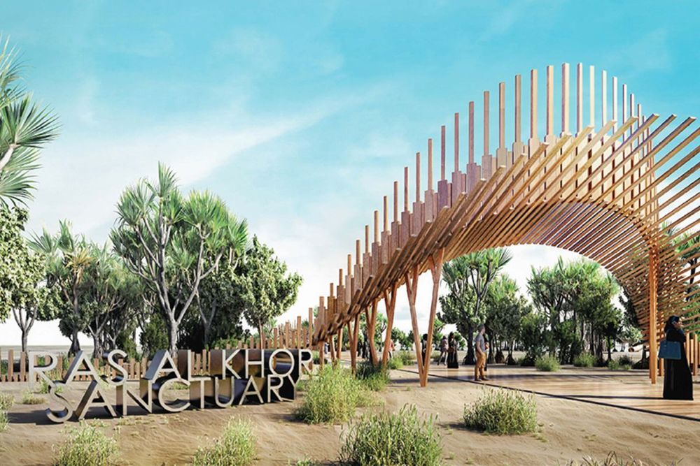 Admire nature at its best at the Ras Al Khor Wildlife Sanctuary in Dubai