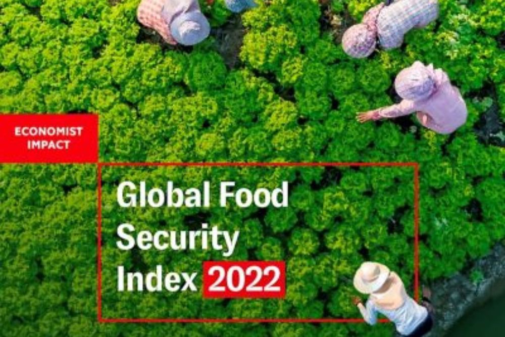 UAE ranks 1st in MENA region on the Global Food Security Index 2022