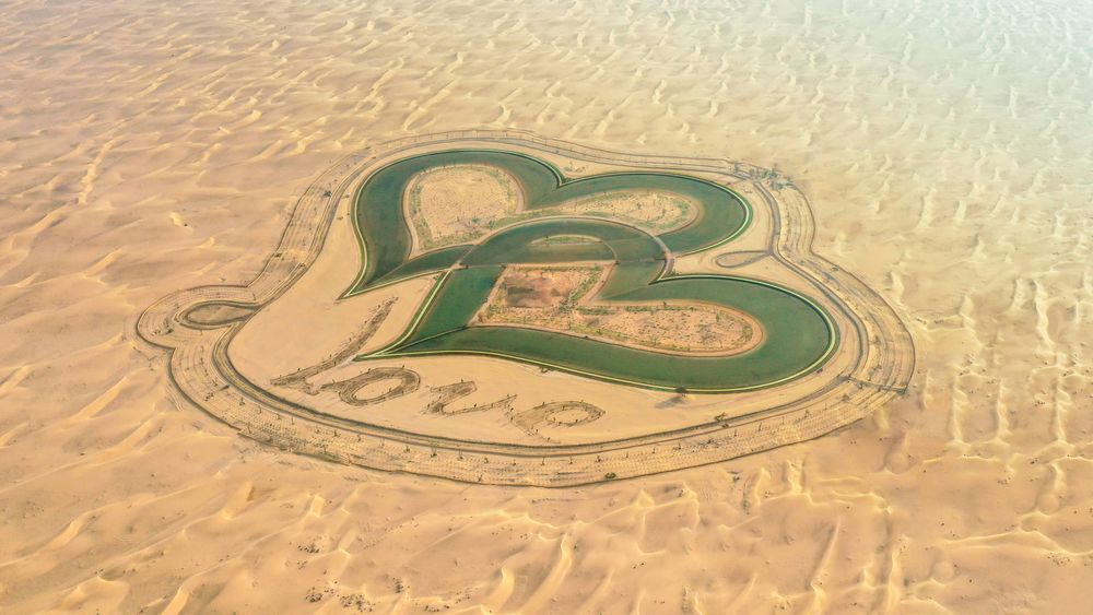 Love Lake Dubai - Why You Must visit Al Qudra Lake