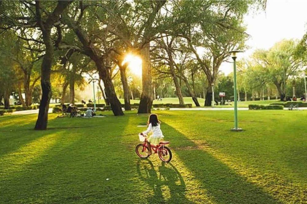 Mushrif Park Dubai - Fun Things to do