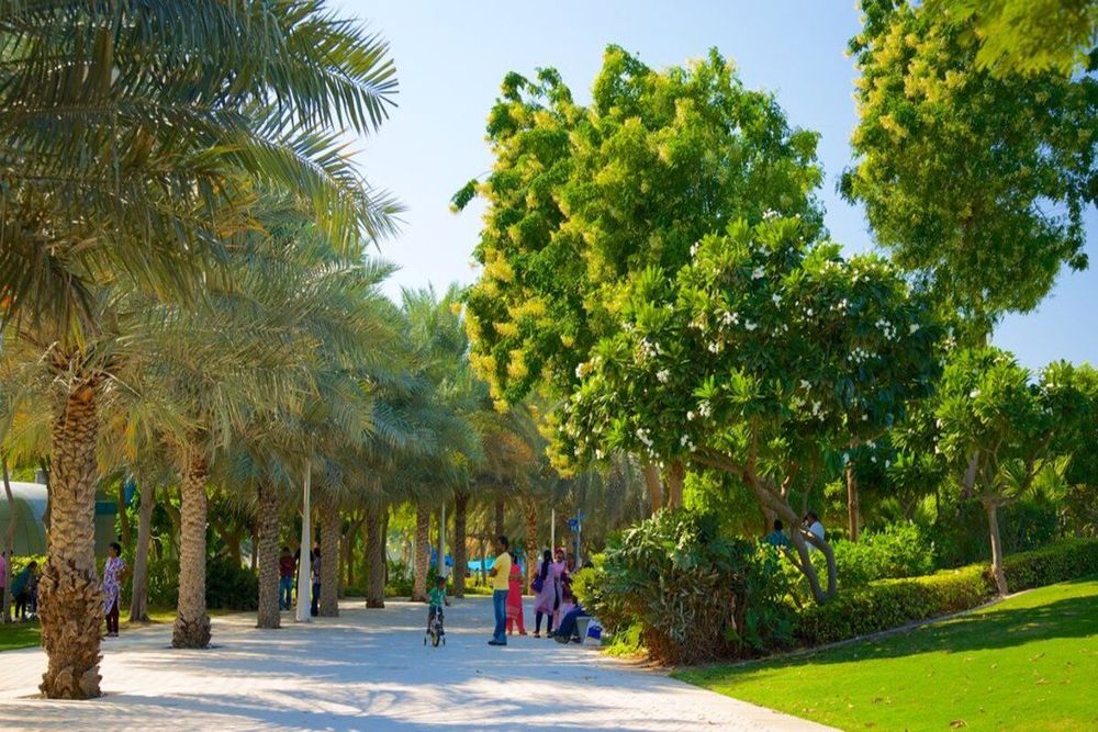 Zabeel Park - Fun Activities To Do in Zabeel Park Dubai