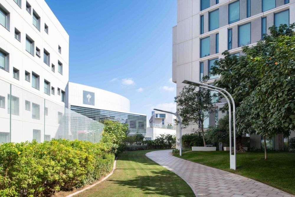 3 universities from the UAE ranked among the world’s top 1,000