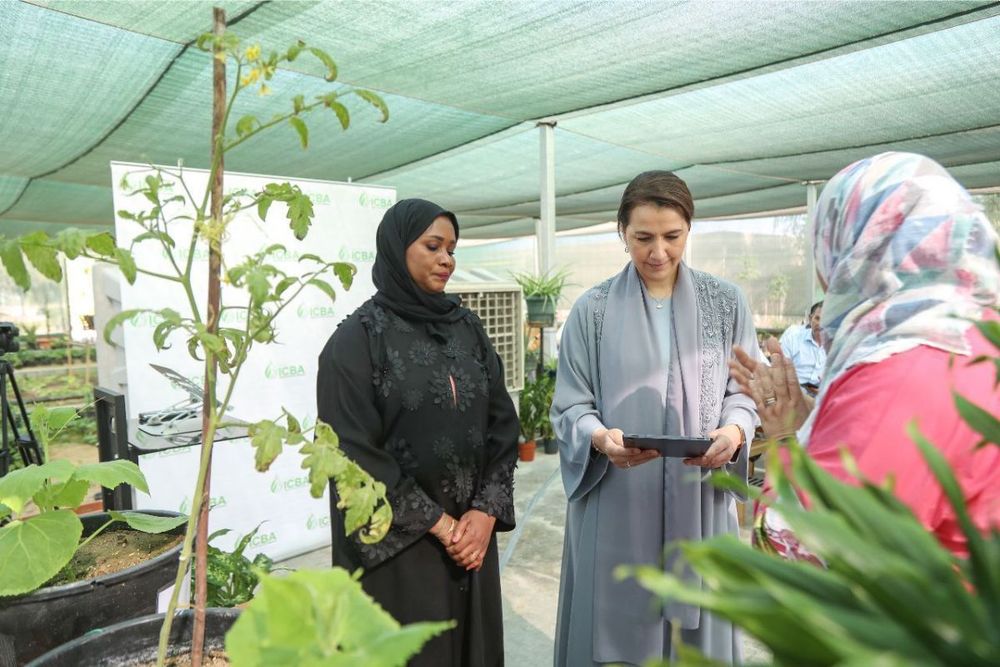 New AI-powered mobile app to detect crop disorders