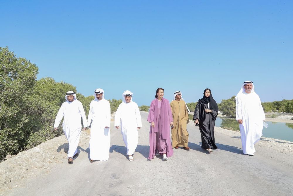 MoCCAE launches roadmap for the National Carbon Sequestration Project aiming to plant 100 million mangroves