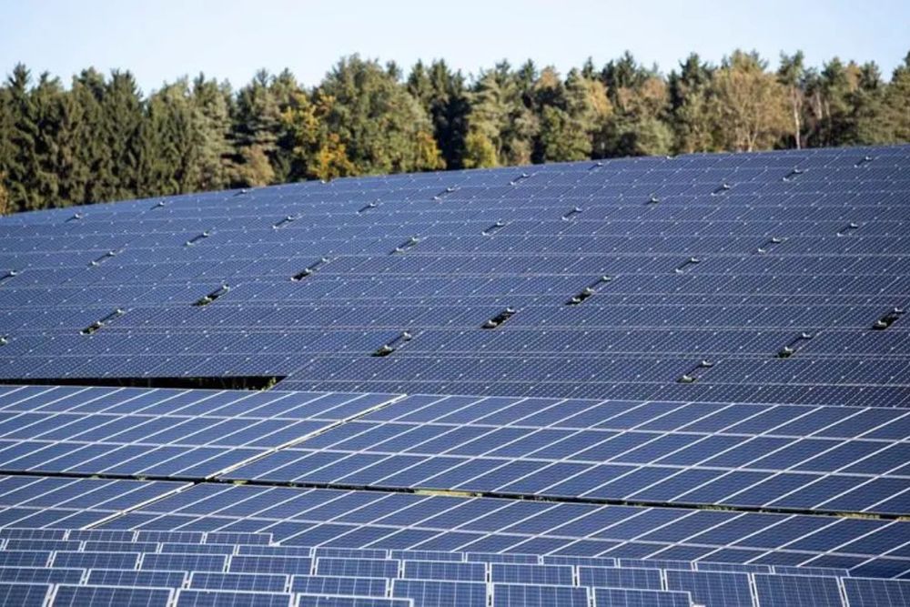 Dubai Chambers launches Solar & Renewable Energy Business Group to drive uptake of renewable energy