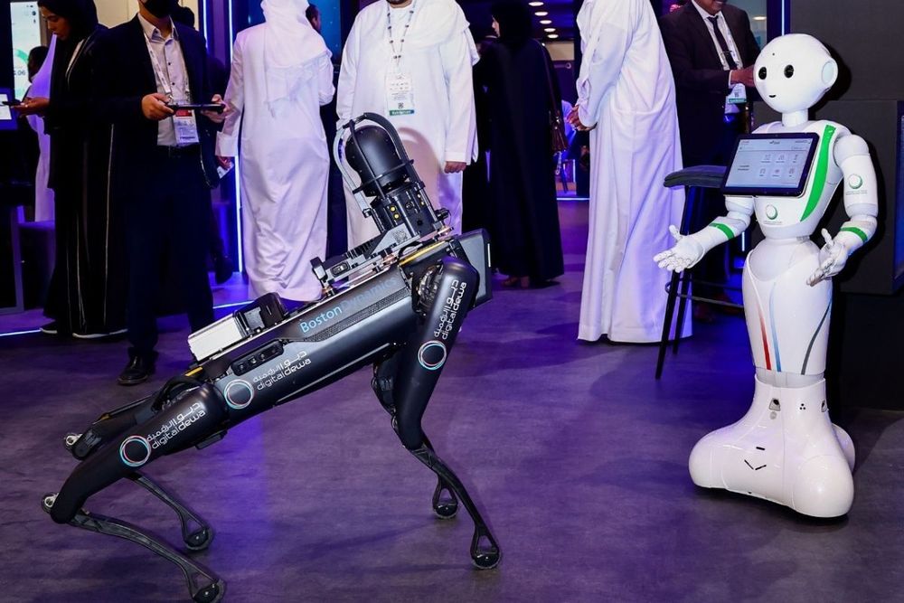 DEWA reports significant increase in digital service usage in 2022