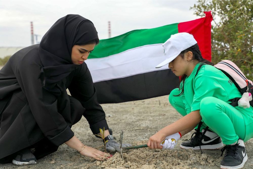 DEWA launches campaign to plant 5,500 mangroves in Jebel Ali Marine Reserve