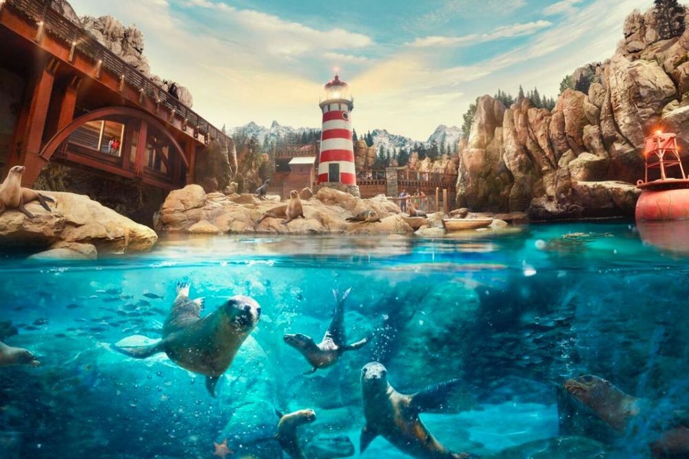 UAE: Top spots to experience thrilling animal encounters