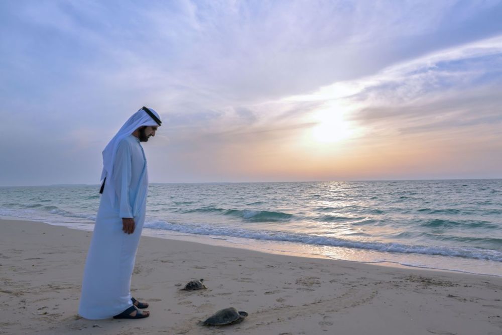 ‘Dubai Master Plan for Public Beaches’ to increase total length of public beaches by 400%
