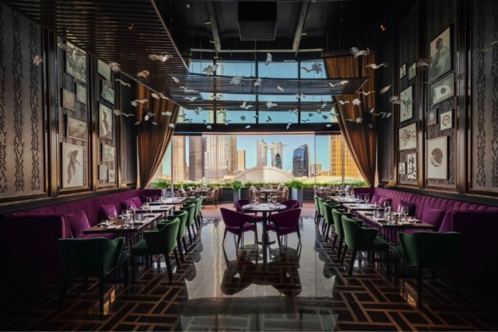 Experience the ultimate social gathering with Nazcaa's Nomikai evenings