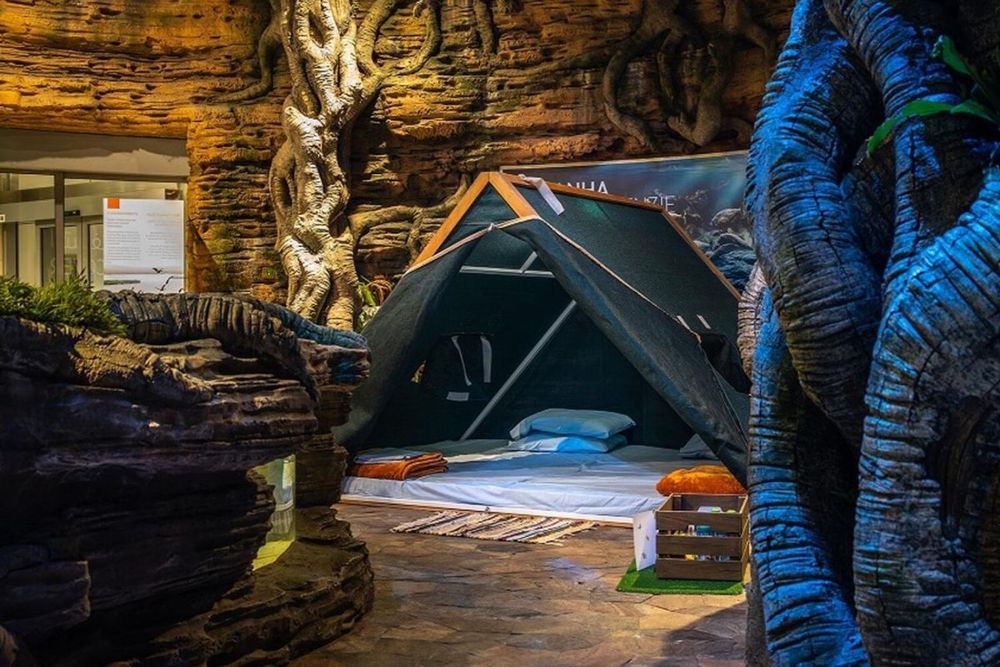 UAE: 5 unique summer camp experiences for kids in 2023