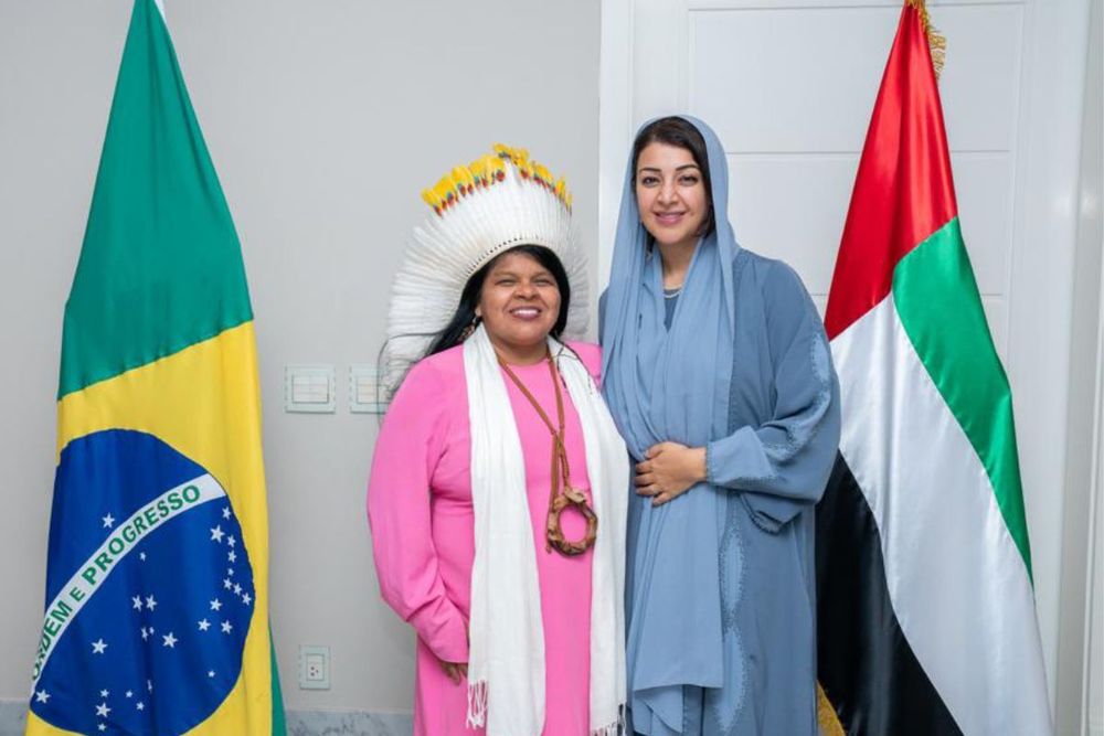 UAE-Brazil strategic partnership soars to new heights
