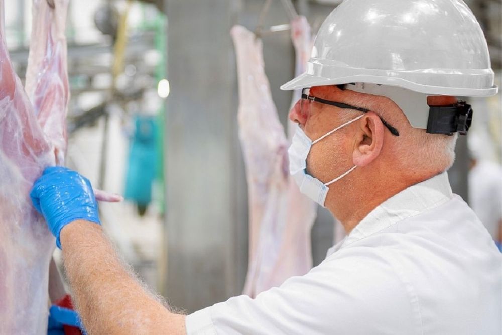 Eid Al Adha 2023: All you need to know about Abattoirs in Dubai