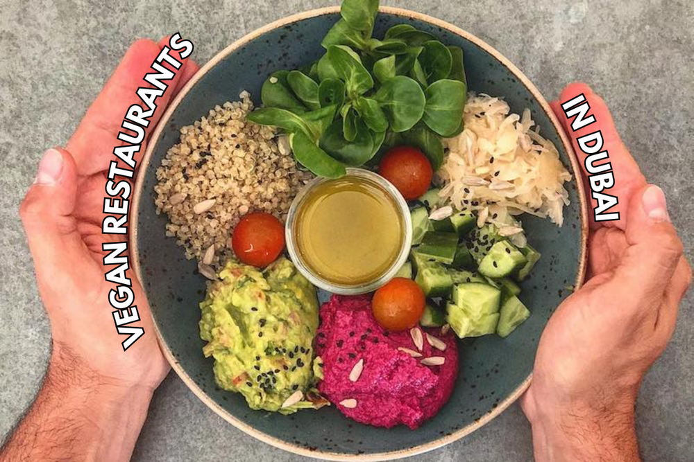 A Culinary Journey: Discovering Dubai's Top Vegan Dining Spots