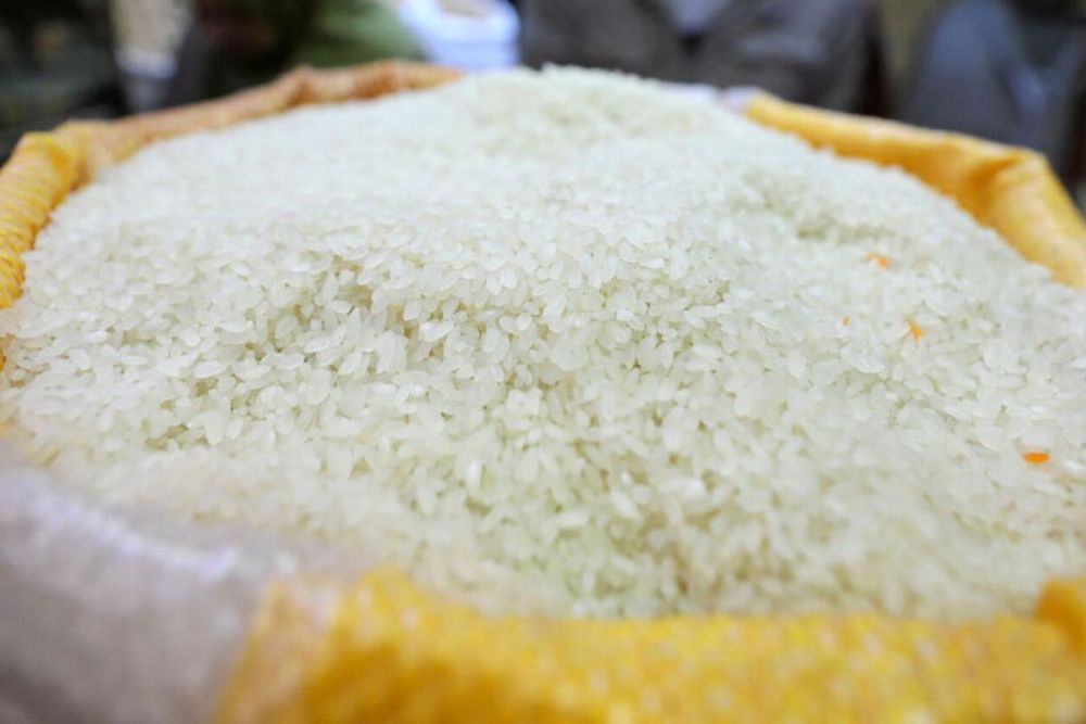 UAE announces temporary suspension of rice exports