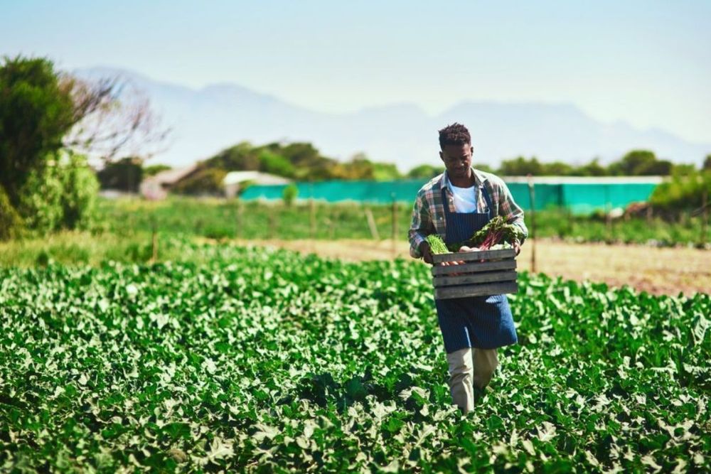 The Future of Farming: Exploring Sustainable Agriculture Practices in Dubai