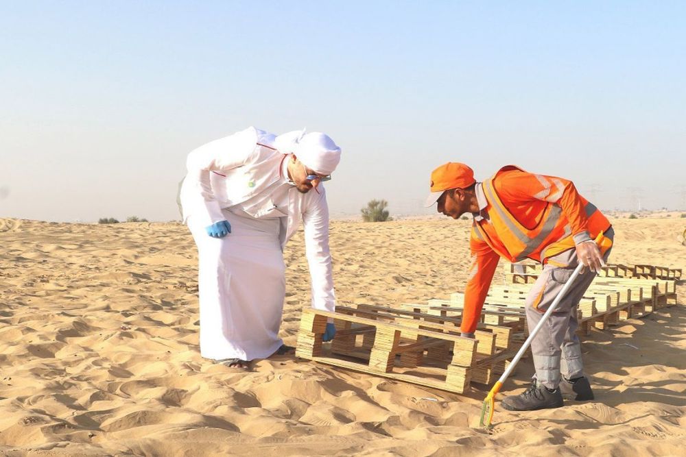 Dubai attracts 4.791 volunteers in H1 2023 to maintain a clean & sustainable environment