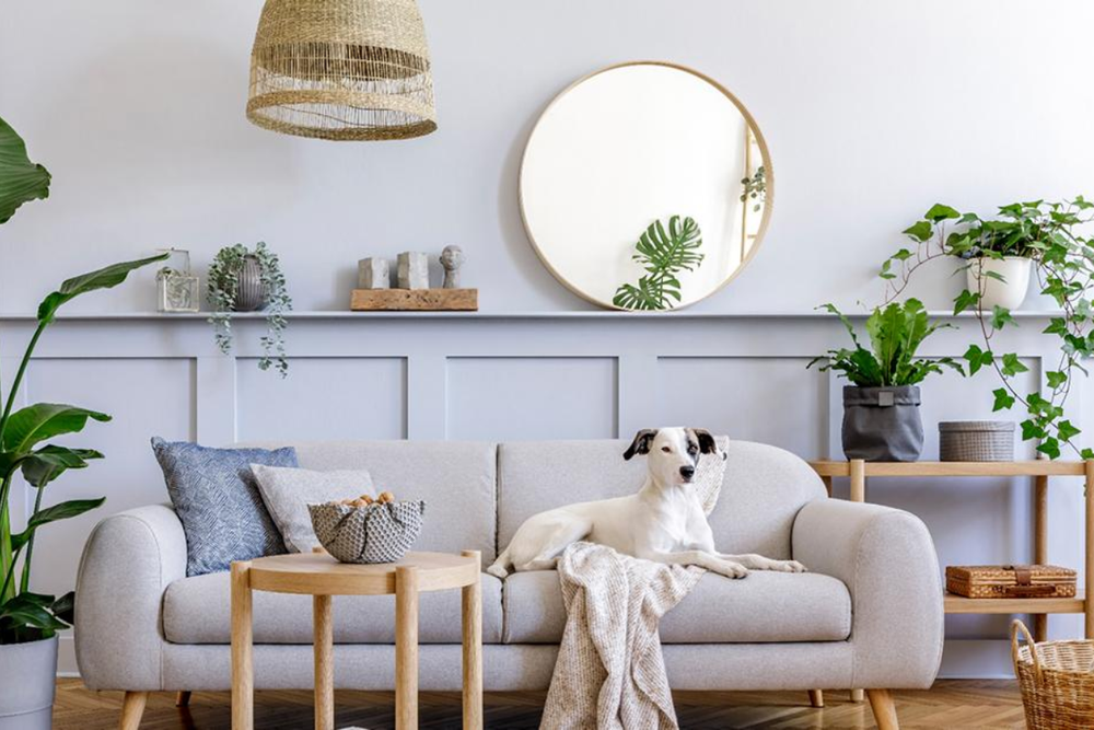 Creating a Healthy Home in Dubai