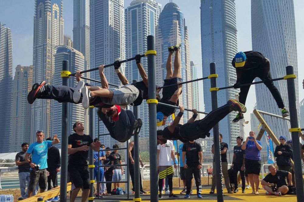 Palm Trees and Burpees: Outdoor Training Essentials