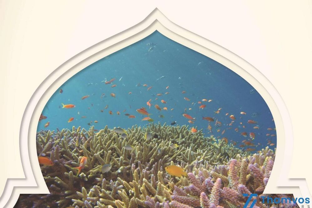 Dubai Launches Religious Tourism Initiative: Floating Mosque, Quranic Park & More