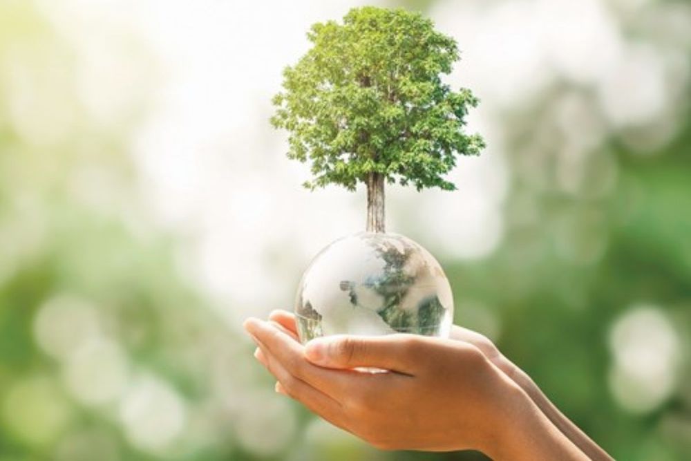 World Governments Summit launches report 5 high-impact actions to achieve carbon neutrality