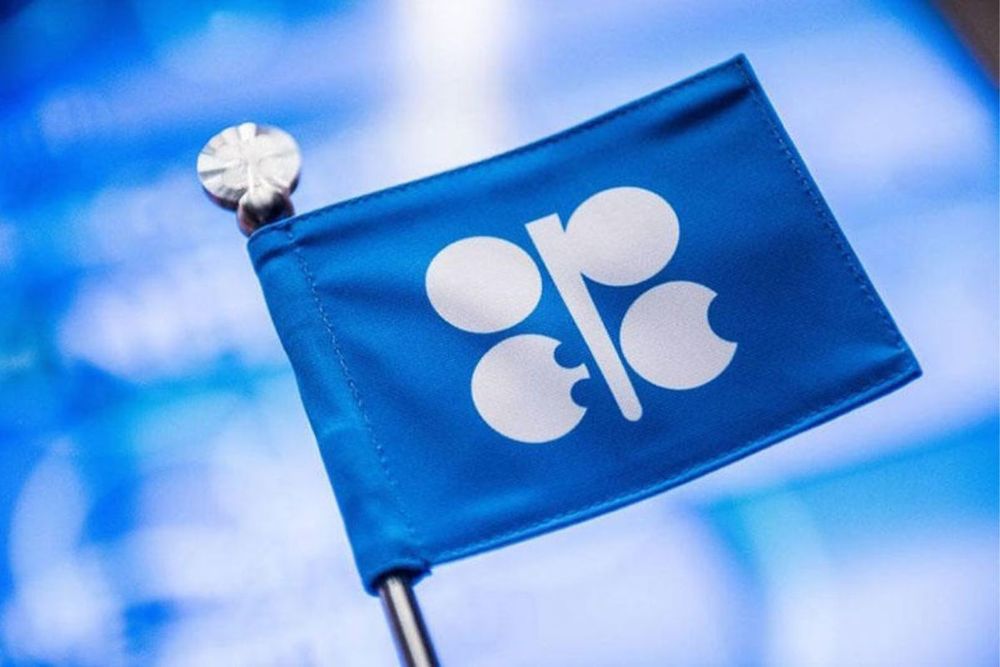 UAE's Non-Oil Economic Activities Upward Trend Expected to Continue in 2024