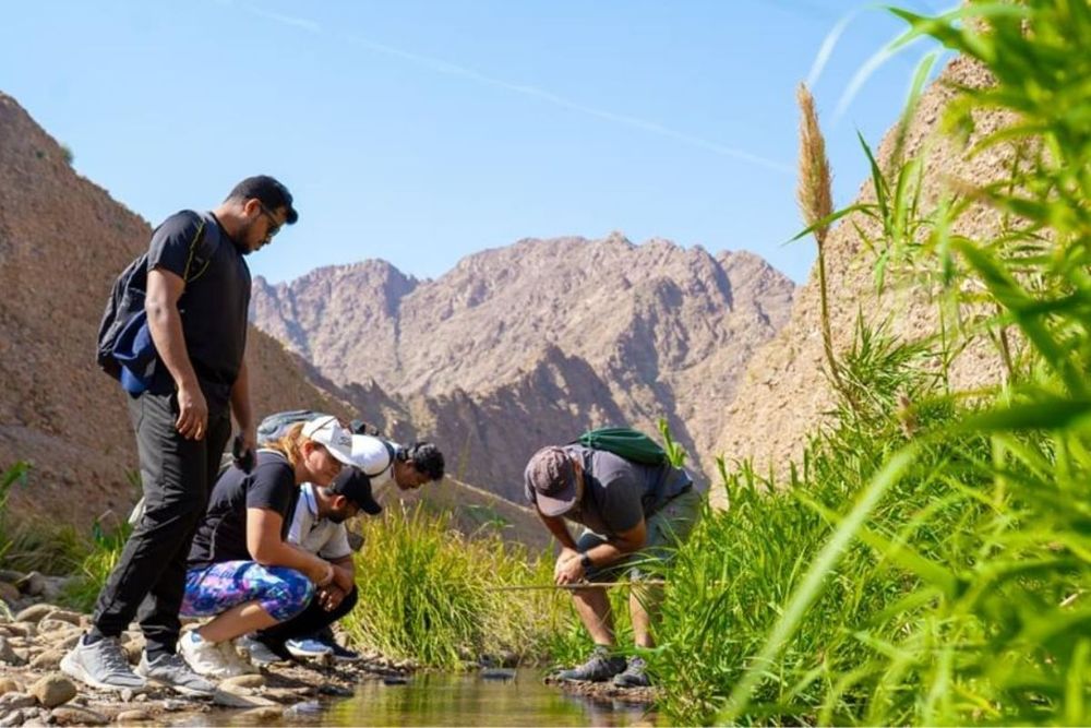 UAE: Year of Sustainability Introduces 'PopCOP' to Drive Climate Action at Community Leve