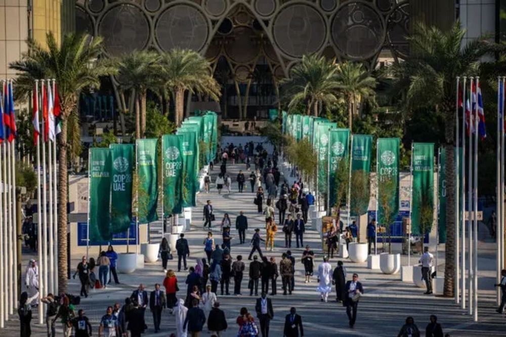 COP28 Showcases Global Participation: Voices of Women, Youth, and Indigenous Peoples Resonate in Climate Discourse