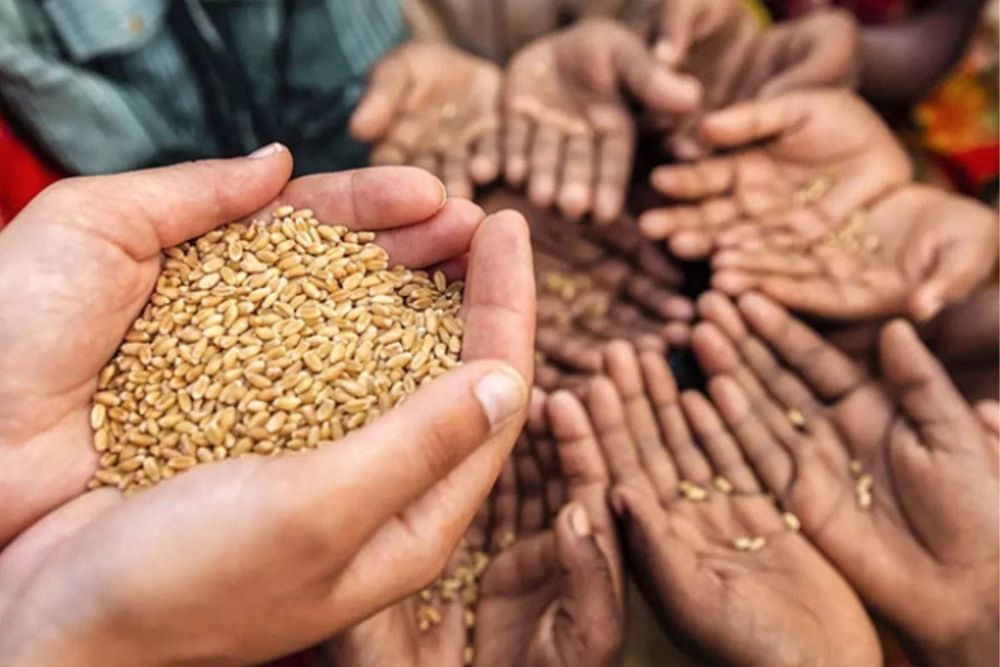 Financial Institutions Play Transformational Role in Accelerating GCC’s Food Security and Climate Goals