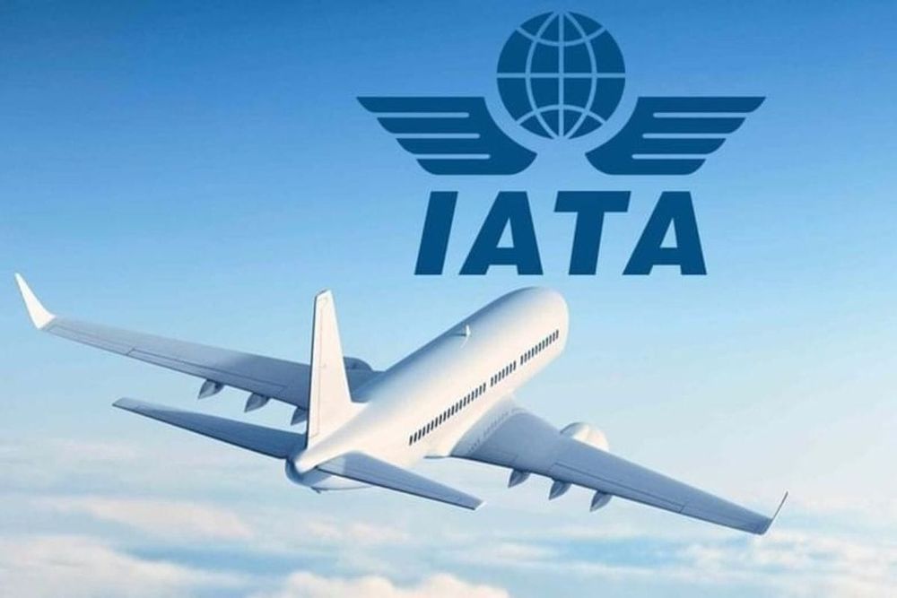 Global Air Travel Soars to 99% of Pre-Pandemic Levels in November 2023