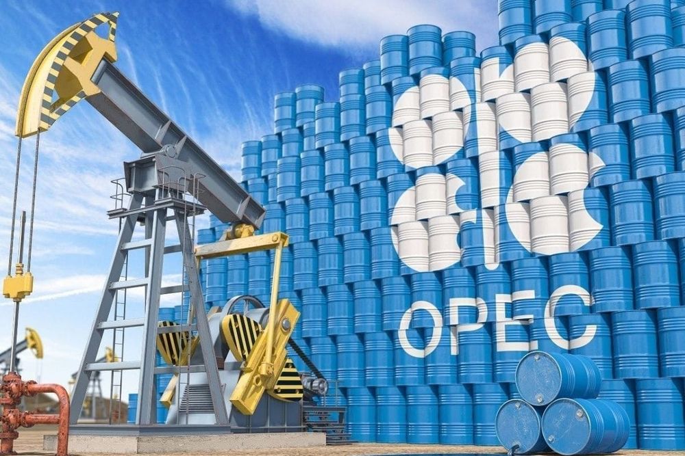 OPEC Forecasts Strong Growth in UAE's Non-Oil Sector for 2024