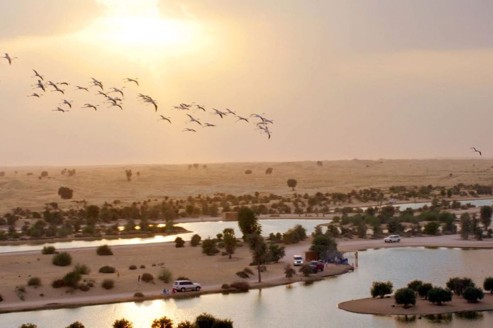 8 Unmatched Getaways for a Leisurely Day in the UAE