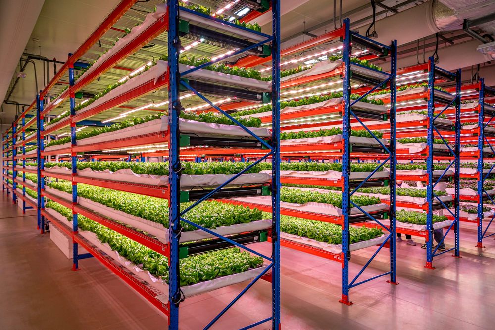 Emirates Flight Catering Fully Acquires Bustanica