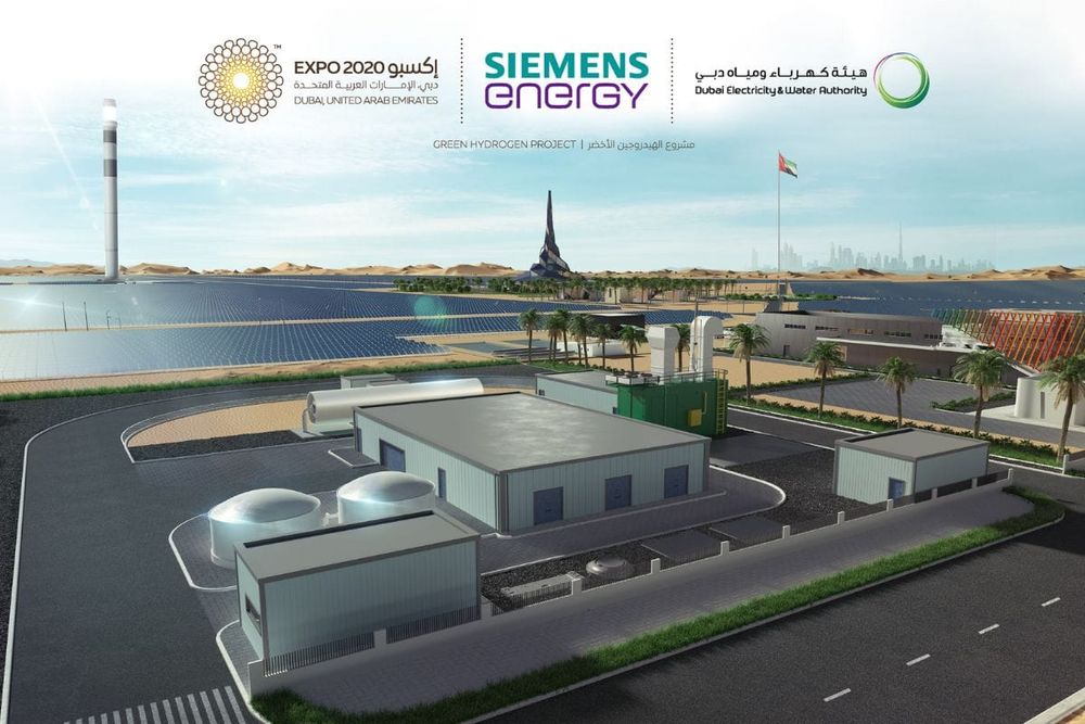 DEWA Supports the Realisation of Sustainability Through a Roadmap