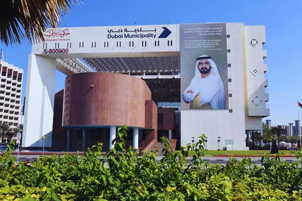 All About Dubai Municipality: Departments, Services & More