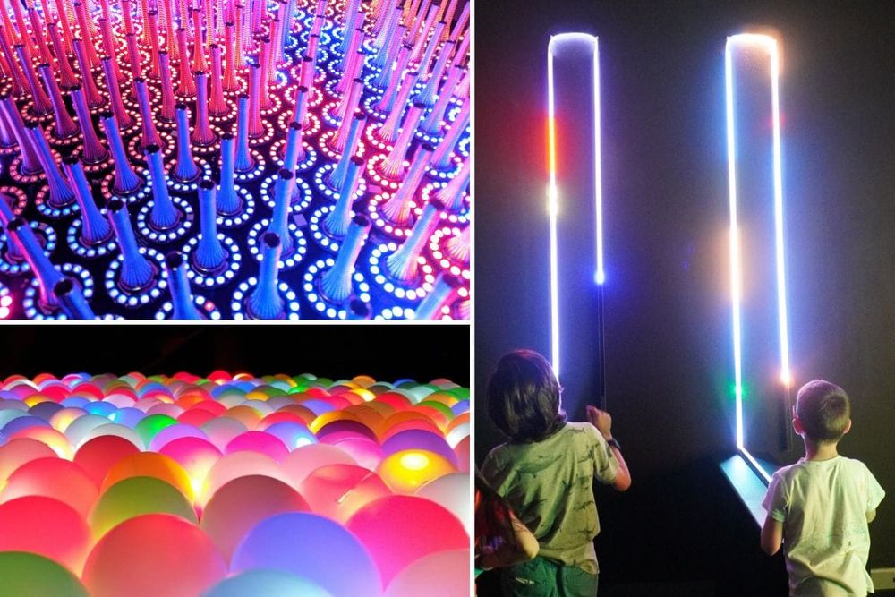 Step Into WonderScape, OliOli's  New Mesmerising Exhibition!