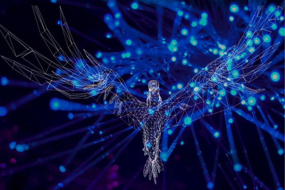 UAE's TII Reveals Falcon 2 Language Model, Outperforms Meta’s Llama 3