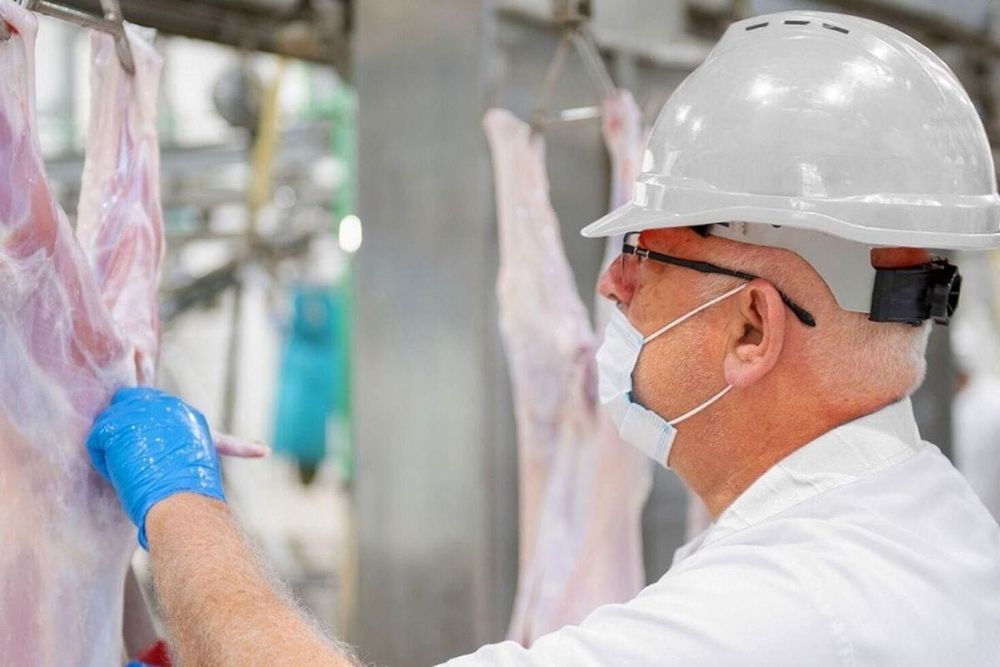 Eid Al Adha 2024: Dubai Municipality Announces Slaughterhouse Timings